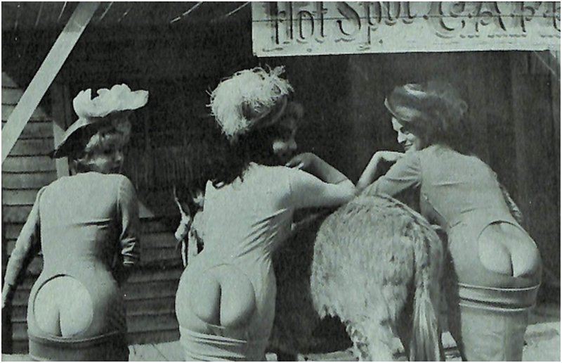 three women in bottomless pencil skirts, aka spanking skirts, in an old nude flick
