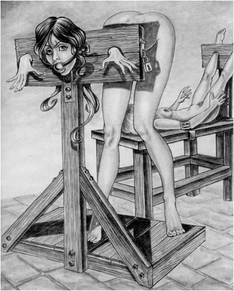 a pillory for spanking or bondage sex