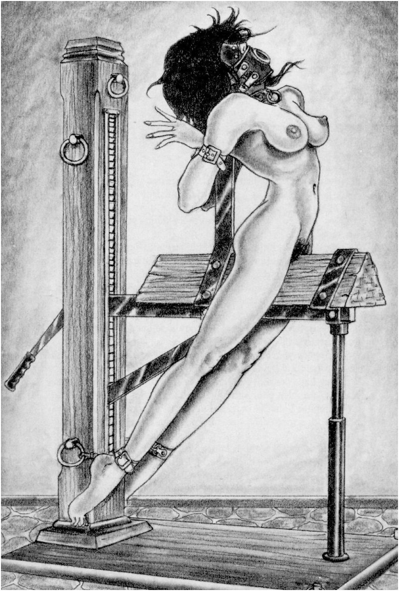 bondage horse with triangle bar for painful pussies