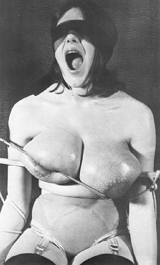 vintage breast caning photo