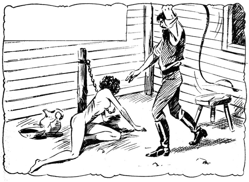 chained to a post and whipped a daily