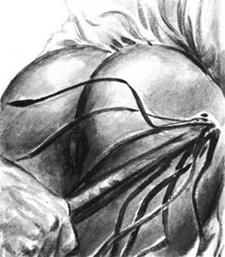 whip meets bare bottom