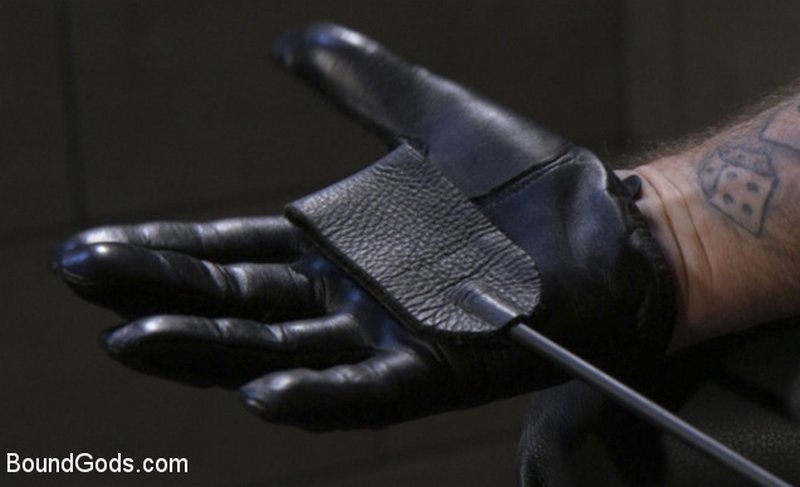 leather glove and riding crop