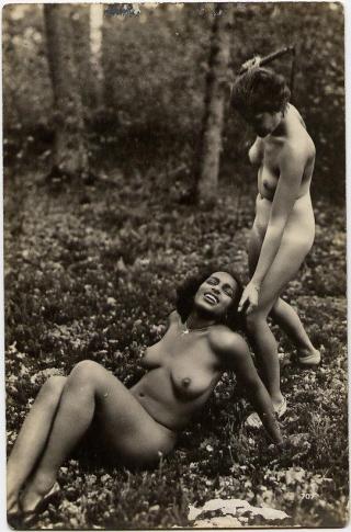 forest whipping with martinet