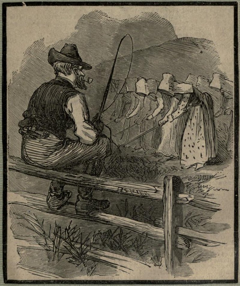 mormon polygamist sits on a fence and smokes a pipe while his wives slave away in his field doing agricultural labor