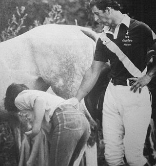 prince charles lustfully looking at a spankable ass