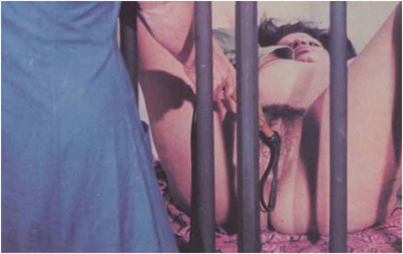 Vanessa Del Rio pussy whipping in jail cell