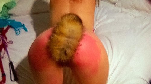 puppygirl with buttplug tail and spanked ass