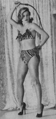 woman in heels and tiger panties, with whip