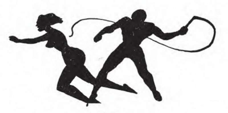 a rex whipping illustration